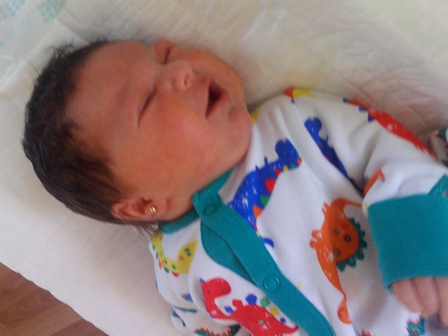 IMG_20141006_103752.jpg