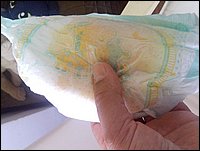 IMG_20141006_103740.jpg