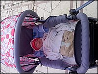 IMG_20141017_141630.jpg